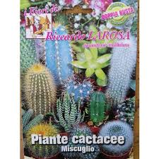 Le piante da interni donano colore e luce agli spazi interni e creano un'allegra e rilassante atmosfera in ogni casa, inoltre sono molto utili per regolare il l'assortimento di piante da interni in vendita online che bakker ti offre è molto vasto e comprende diverse varietà di piante facili da coltivare in casa. Piante Grasse Pendenti Al Miglior Prezzo