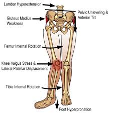 Image result for Patella Mobility Test