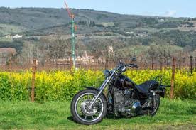 Image result for Vivid Black 1994 FXLR