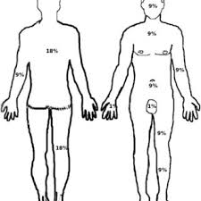 The procedure is done to prevent circulation issues, tissue damage, and even tissue death that can result. Escharotomy Lines Example Of Typical Ways To Incise The Eschar Note Download Scientific Diagram