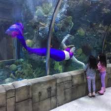 The 31 Best Things To Do In New Orleans With Kids New Orleans With Kids New Orleans Vacation New Orleans Travel