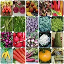 Rainbow Garden Seed Combo Pack Rainbow Garden Strawberry Plants Vertical Vegetable Gardens