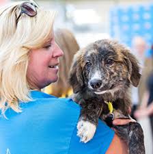 Specializing in adoptions affords an ability to narrow its focus and spend all its efforts on placing animals in a proper environment. Volunteer Wisconsin Humane Society