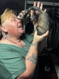 HETTY & TRAVIS *** Both these gorgeous Bretons found a wonderful home with  the Doe's, HETTY in the summer and TRAVIS before Christmas. It's so lovely  to see that they are