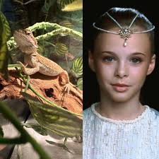 Bearded dragon named after a fire lizard