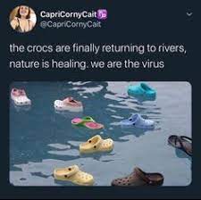 Pin By C H E L L On Meme Like Just For Laughs Corny Fish Pet