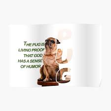 Share the best gifs now >>>. Fat Dog Meme Posters Redbubble
