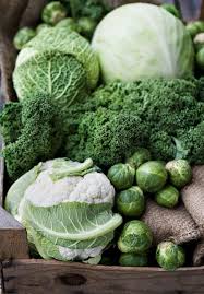 Petits Et Gros Choux Verts Fruits Et Legumes Photo Fruit Choux Verts