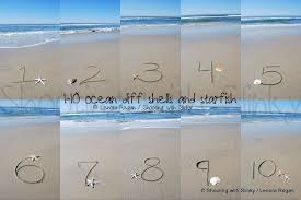 Beach Table Numbers 1 Thru 10 Written In The Real Beach Sand Etsy Beach Table Wedding Table Plan Wedding Decorations