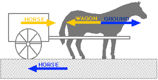 Horse And Cart Explained No Friction