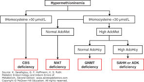 Disorders Of Transsulfuration Pediatric Endocrinology And