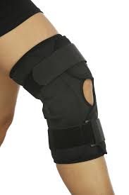 Image result for Orthopichonia