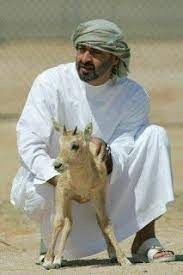 the uae man مدونة رجل الإمارات مجموعة صور لم تراها من قبل لسمو الشيخ محمد بن زايد in 2021 my prince charming zayed bin sultan arab men