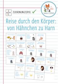 Reise Durch Den Korper Von Hahnchen Zu Harn Unterrichtsmaterial Im Fach Biologie In 2020 Unterrichtsmaterial Biologie Deutsche Worter