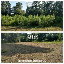 Extreme Under Brushing Llc 832 692 2298 Proudly Serving Houston Tx Up To 100 Mile Radius We Offer Forestry Mulching Fen Land Clearing Farm Life Farm Gardens