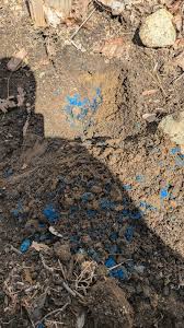 What is this blue clay? : r/Soil