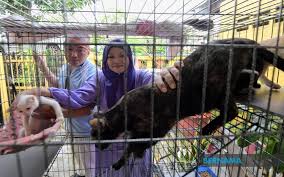 Select from our best shopping destinations in kuching without breaking the bank. Bernama Lesson Learnt From Previous Mco Pet Owners Stock Up On Supplies