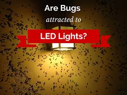 Do Led Lights Attract Bugs 1000bulbs Com Blog