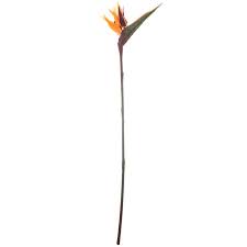 See more ideas about artificial flowers outdoors, artificial flowers, flowers. Orange Bird Of Paradise Stem Hobby Lobby 576827