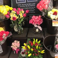 And they consider the orderly unfolding of the mum's petals to be a symbol of perfection.they also presume that a single chrysanthemum petal placed in the bottom of a wine glass encourages a long and healthy life. Photos At Safeway Canada Garneau 10930 82 Ave Nw