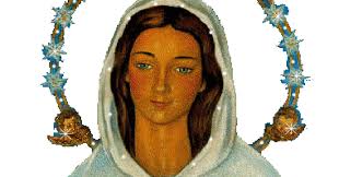 Gifs y Fondos Paz enla Tormenta ®: IMÁGENES DE LA VIRGEN MARÍA ROSA MÍSTICA