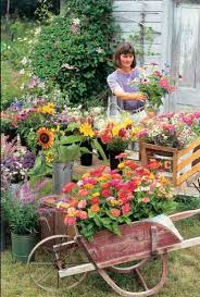 Ellsworth hill orchard & berry farm 461 cornwall bridge rd. Grow Flowers For Profit Organic Gardening Mother Earth News