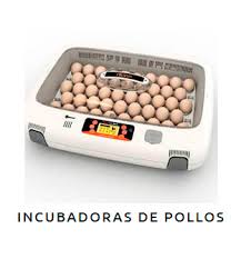 A wide variety of incubadoras de pollos options are available to you, such as warranty of core components, usage, and local service location. Venta De Incubadoras De Pollos Calidad Y Al Mejor Precio Incubarbarato