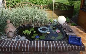 Das biotop im glas bietet die möglichkeit für einen pflegeleichten garten zu hause. Einen Miniteich Anlegen Und Bepflanzen Gartenteich Ratgeber