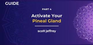 Pineal Gland Activation A Complete Guide To Opening Your Third Eye