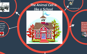 Maybe you would like to learn more about one of these? The Animal Cell Is Like A School By Mardarius Clemons