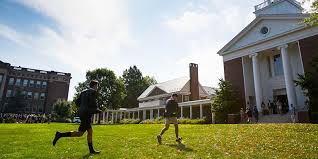 Image result for Peddiea