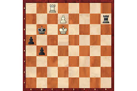 The new coffee shop is located at 3201 bridge avenue in the bridge plaza shopping center in point pleasant boro. Losing A Rook Losing The Game Chessbase