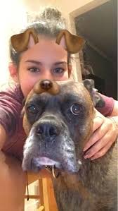 That about $12 to $17 per visit. Pet Sitters In Tubingen With Best Prices On Petbacker