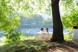 Not many kids have that name now. Korean Dating Culture Sogaeting And Gwating Korea Blog Inspire Me Korea Blog