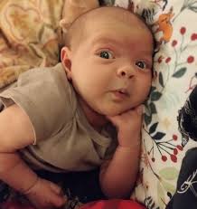 Clips Cannot Stop Plans For Pregnancy💕 Tubal Reversal A Success My Miracle  baby🙏 Patient age: 39 Tubal ligation type: Tubal clips (clamps) Patient  hometown: Bean Station, Tennessee  https://www.tubal-reversal.net/testimonials/clips-cannot-stop-plans ...