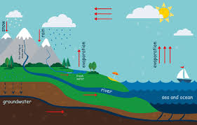 El agua es imprescindible para los seres vivos, y para mantenerse presente en nuestra vida, cumple con un ciclo importante. Como Explicar El Ciclo Del Agua A Los Ninos Eres Mama