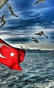 Murat Muratcelep Suskun Suskunn Turk Bayrak Osmanli Turan Kizilelma Bozkurt Vatan Millet Anadolu Otuken Resimler Resim Manzara Resimleri