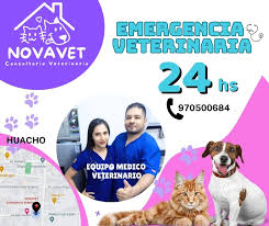 Family VET Huacho emergencias 24h