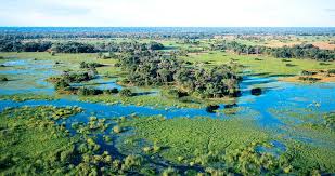 See all okavango delta safari camps accommodation specials listed below. Okavango Delta Botswana Safari Botswana Safari Okavango Delta Okavango Delta Safari