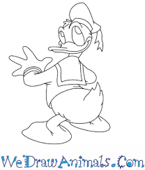 Donald fauntleroy duck, commonly known as donald duck, is one of the most lovable and iconic cartoon characters of all time. How To Draw Donald Duck
