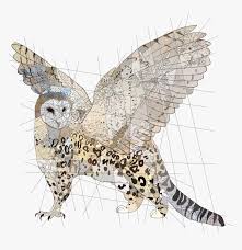 Trade owl and other adopt me items on traderie, a peer to peer marketplace for adopt me players. Asked Me To Do A Griffin Made Of A Barn Owl And A Snow Snowy Owl Hd Png Download Kindpng
