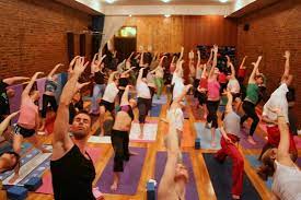 We did not find results for: The Fallout From A Downward Facing Dog Fight