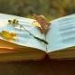 Pleasant Hill Campfire Chronicles Book Club