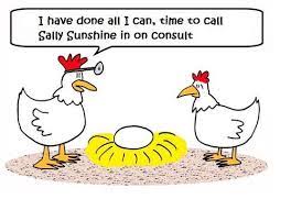 Pin On Chickens Chickens Eggs
