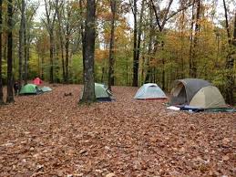 Tents Assembled At Group Camp Picture Of Fort Pillow State Park Henning Tripadvisor