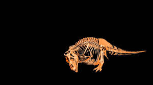 And we all know that when parents are ready to say good night, it turns out that sometimes little dinosaurs have other ideas! How Did Dinosaurs Sleep Standing Or Laying Eyes Closed Or Opened