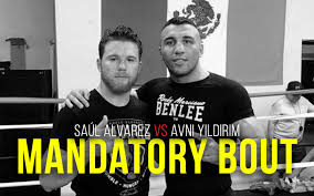 Born 18 july 1990), better known as canelo álvarez, is a mexican professional boxer who has won world championships in four. Mandatory Bout To Saul Alvarez Cleto Reyes