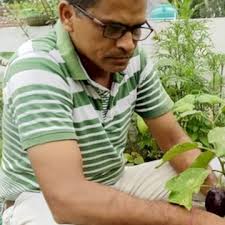 Jai Maa Kali Green Plant in Alipur, Delhi