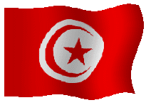 135,000+ vectors, stock photos & psd files. Tunisia Flag Gif Icegif