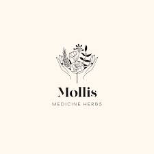 Plants Premade Logo Herb Logo Logo Design Business Logo Etsy Herb Logo Branding Design Logo Logo Design